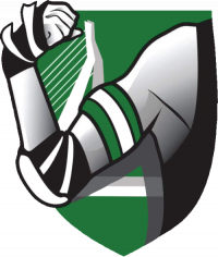 C-Gulls logo