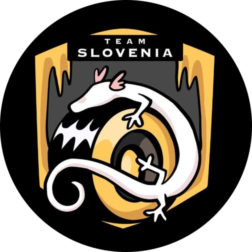 Team Slovenia logo