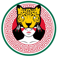 Team Mexico logo