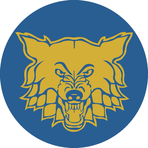 Team Sweden logo
