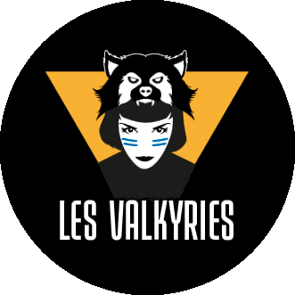 Valkyries logo