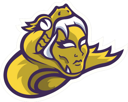 Vipers Roller Derby logo
