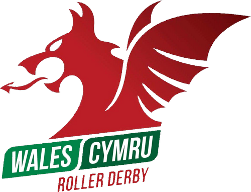 Team Wales logo