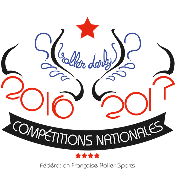 2016-17 French Championship: Nationale 2 logo