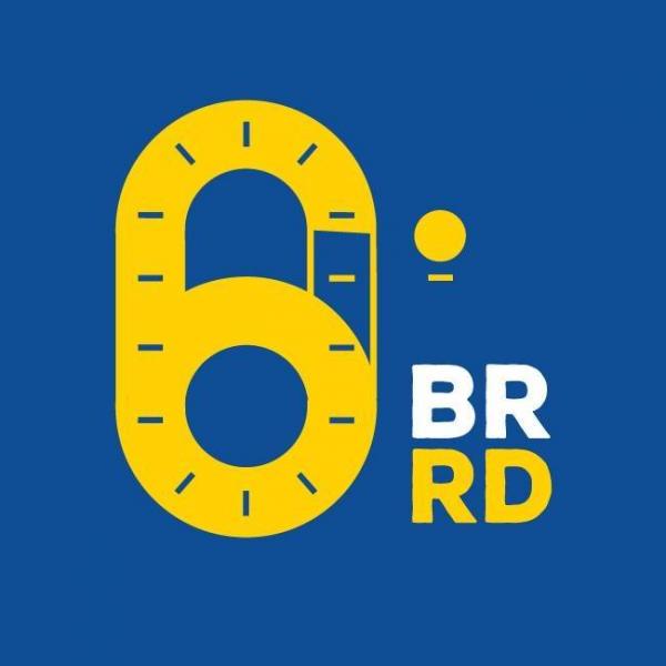 6º Brasileirão de Roller Derby logo
