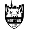 Hogtown Roller Derby