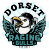 Dorset Raging Gulls
